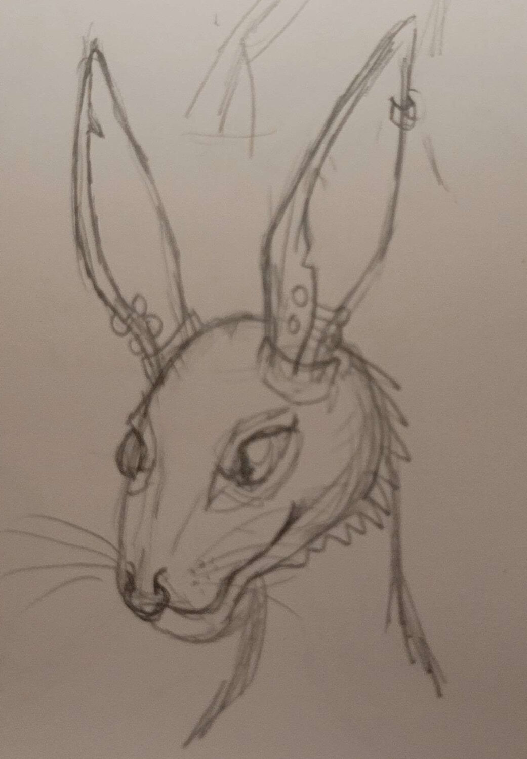 an early sketch of Toral, a rabbit-like alien with peircings in her nose and ears. 